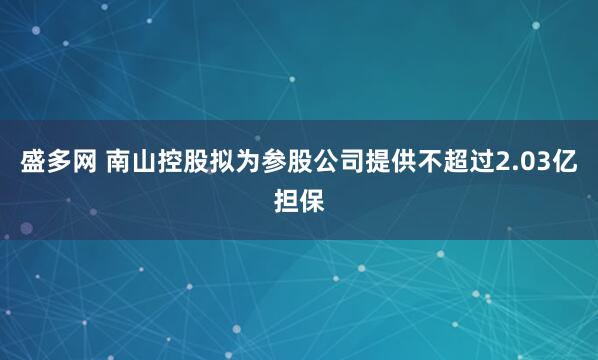 盛多网 南山控股拟为参股公司提供不超过2.03亿担保