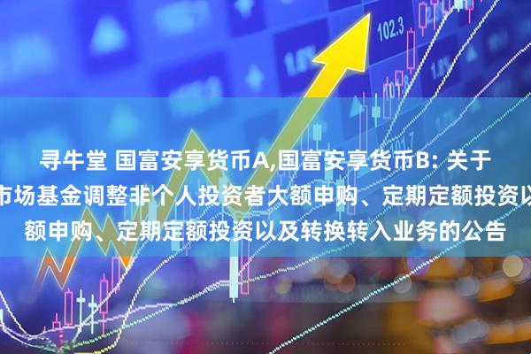 寻牛堂 国富安享货币A,国富安享货币B: 关于富兰克林国海安享货币市场基金调整非个人投资者大额申购、定期定额投资以及转换转入业务的公告