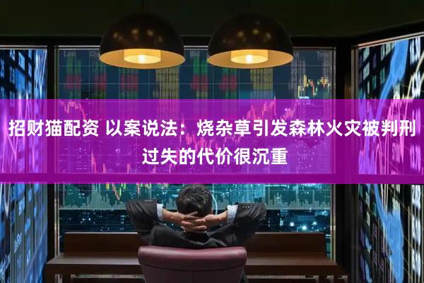 招财猫配资 以案说法：烧杂草引发森林火灾被判刑 过失的代价很沉重