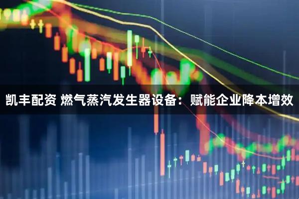 凯丰配资 燃气蒸汽发生器设备：赋能企业降本增效