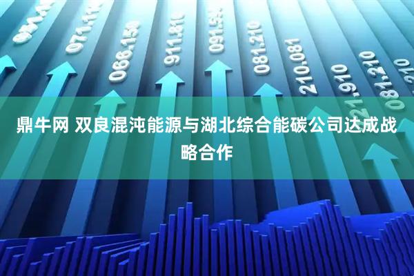 鼎牛网 双良混沌能源与湖北综合能碳公司达成战略合作