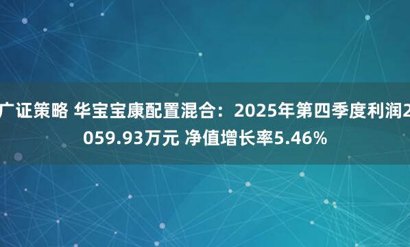 广证策略 华宝宝康配置混合：2025年第四季度利润2059.93万元 净值增长率5.46%